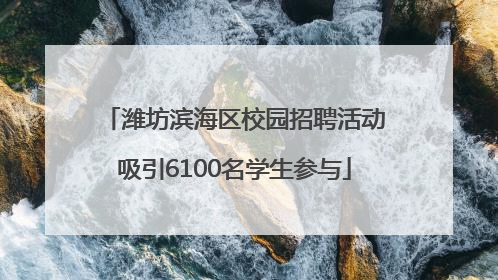 潍坊滨海区校园招聘活动吸引6100名学生参与